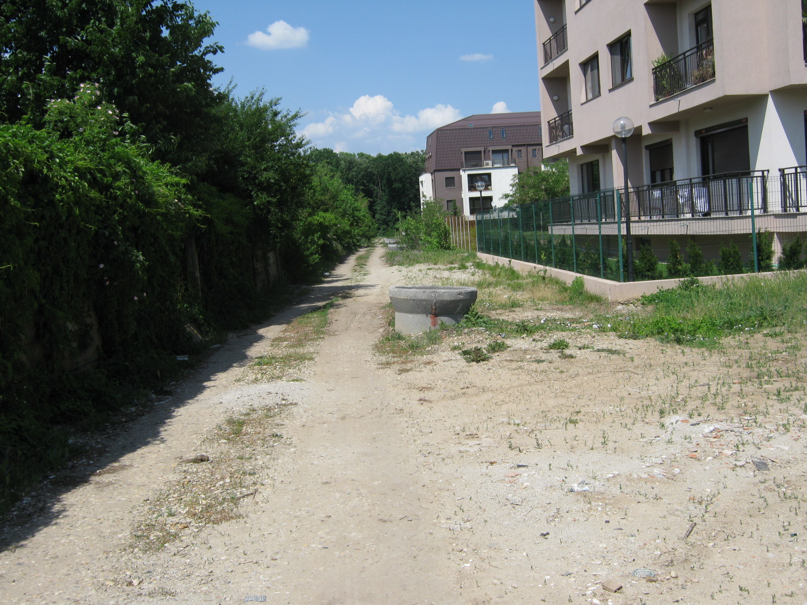 Teren Padurea Baneasa