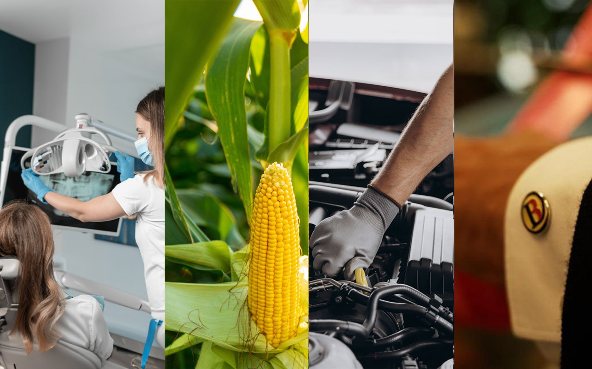 Cum să îți dezvolți  inteligent afacerea cu InvestEU. Pașii pentru a obține un credit cu dobândă redusă față de standard 