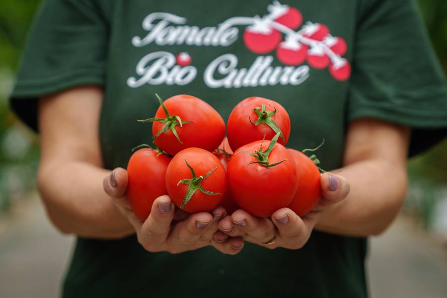 Povestea BioCulture, o poveste despre roșii bio și sustenabiliate, cu sprijinul Libra Internet Bank  