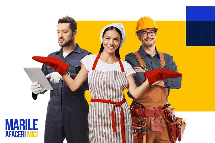 Ce beneficii ai cu Cardul Business Visa de la Libra prin platforma Marile Afaceri Mici 