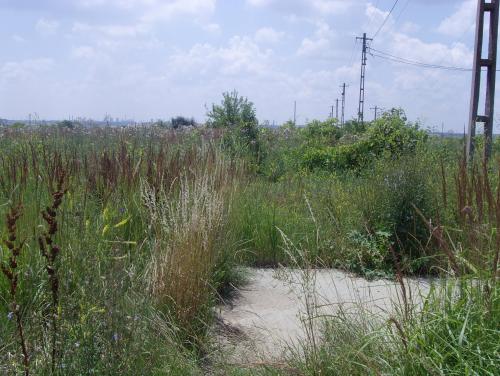 Teren Stefanesti,jud Arges 