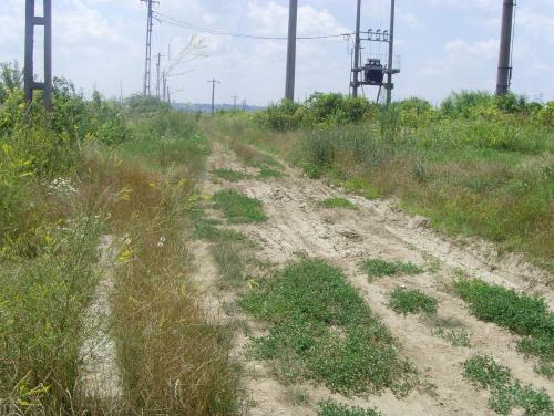 Teren Stefanesti,jud Arges 