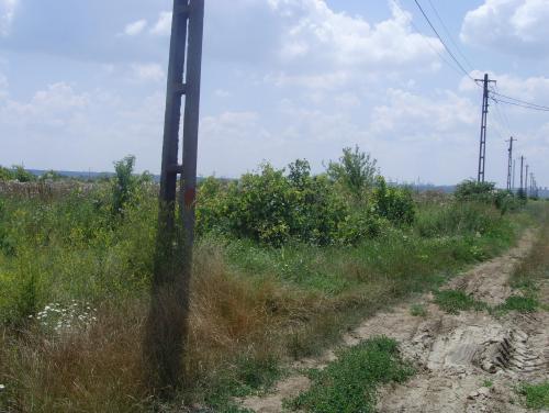 Teren Stefanesti,jud Arges 