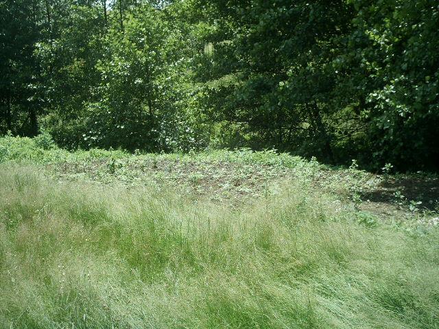 Teren Baia Mare,Cartier Ferneziu