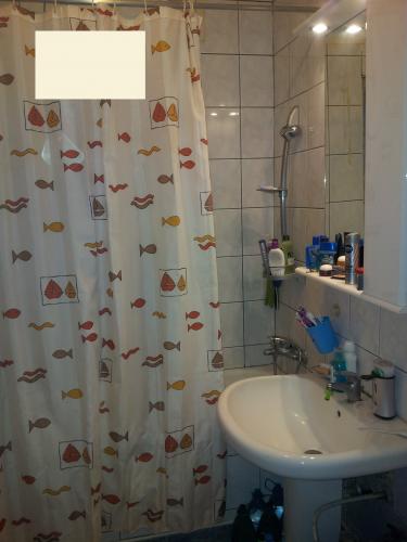 Vanzare apartament 2 camere Pajura