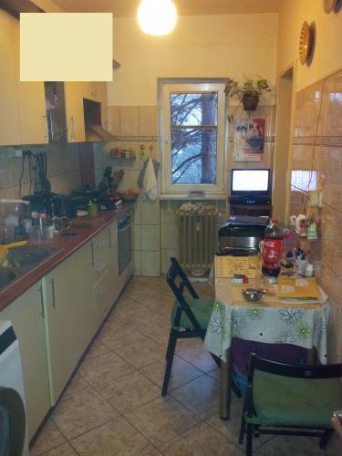 Vanzare apartament 2 camere Pajura
