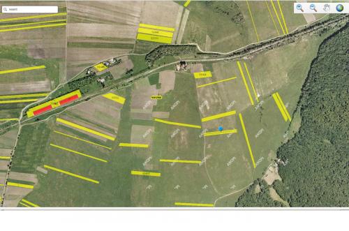 Vanzare teren agricol Jud Neamt