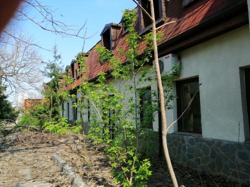 Vanzare cladiri industriale/ comerciale