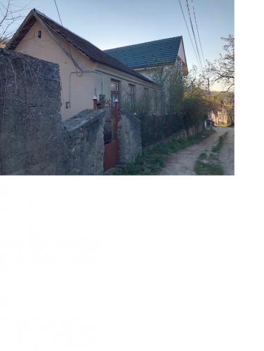 Casa Sasca Montana Caraș-Severin