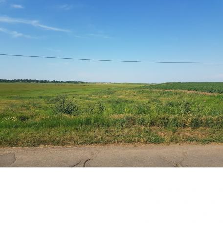 Teren extravilan Rusetu, jud Buzau