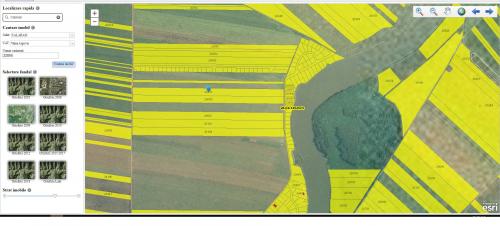 Teren extravilan agricol jud Calarasi