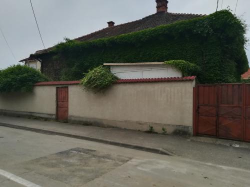 Vanzare casa Drobeta-Turnu Severin