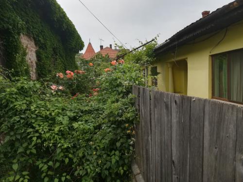 Vanzare casa Drobeta-Turnu Severin