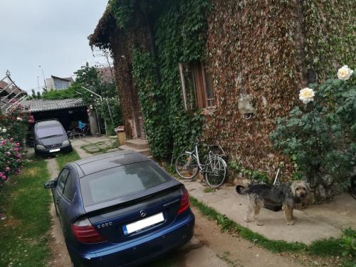 Vanzare casa Drobeta-Turnu Severin