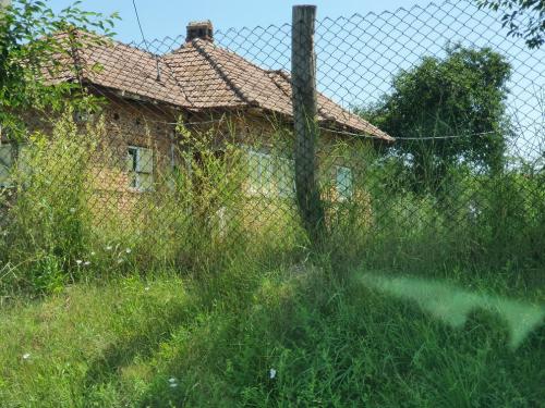 Vanzare casa Fedelesoiu