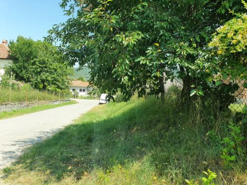 Vanzare casa Fedelesoiu