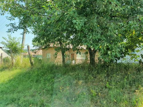 Vanzare casa Fedelesoiu