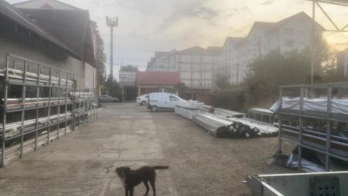 Spatiu industrial Suceava