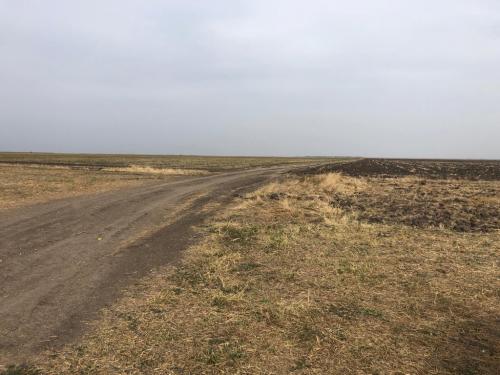 Terenuri agricole Loc Barla jud Arges