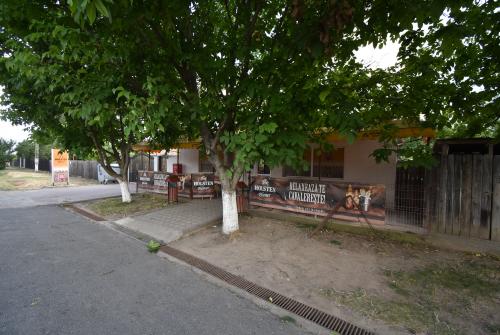 Casa si spatiu comercial Micsunestii Mari jud Ilfov