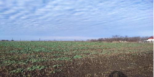 Vanzare cota1/2 teren Com Dragoș Vodă