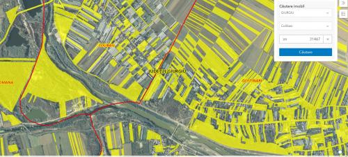 Terenuri intravilane Colibasi, jud Giurgiu