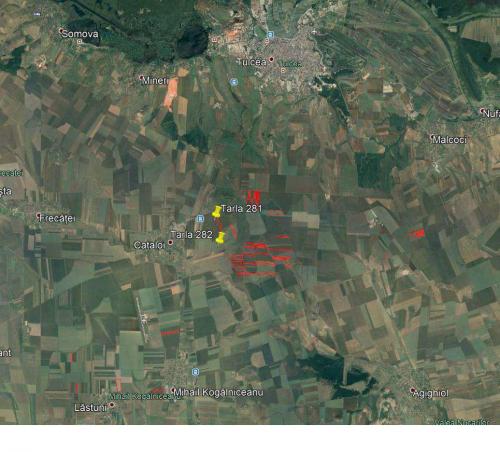 Vanzare 206ha Tulcea