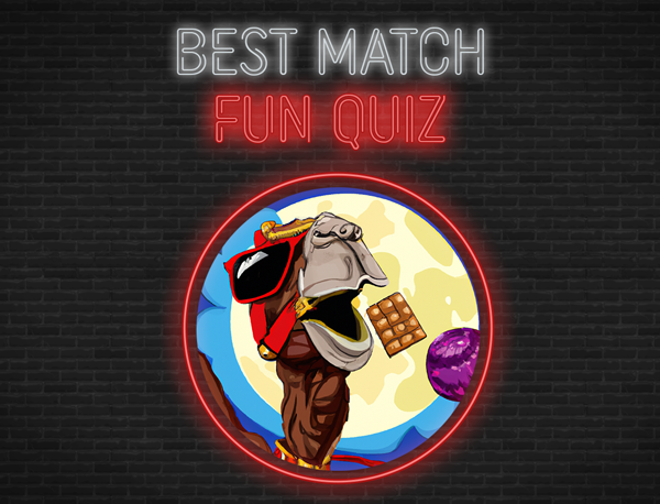 Best Match Fun Quiz